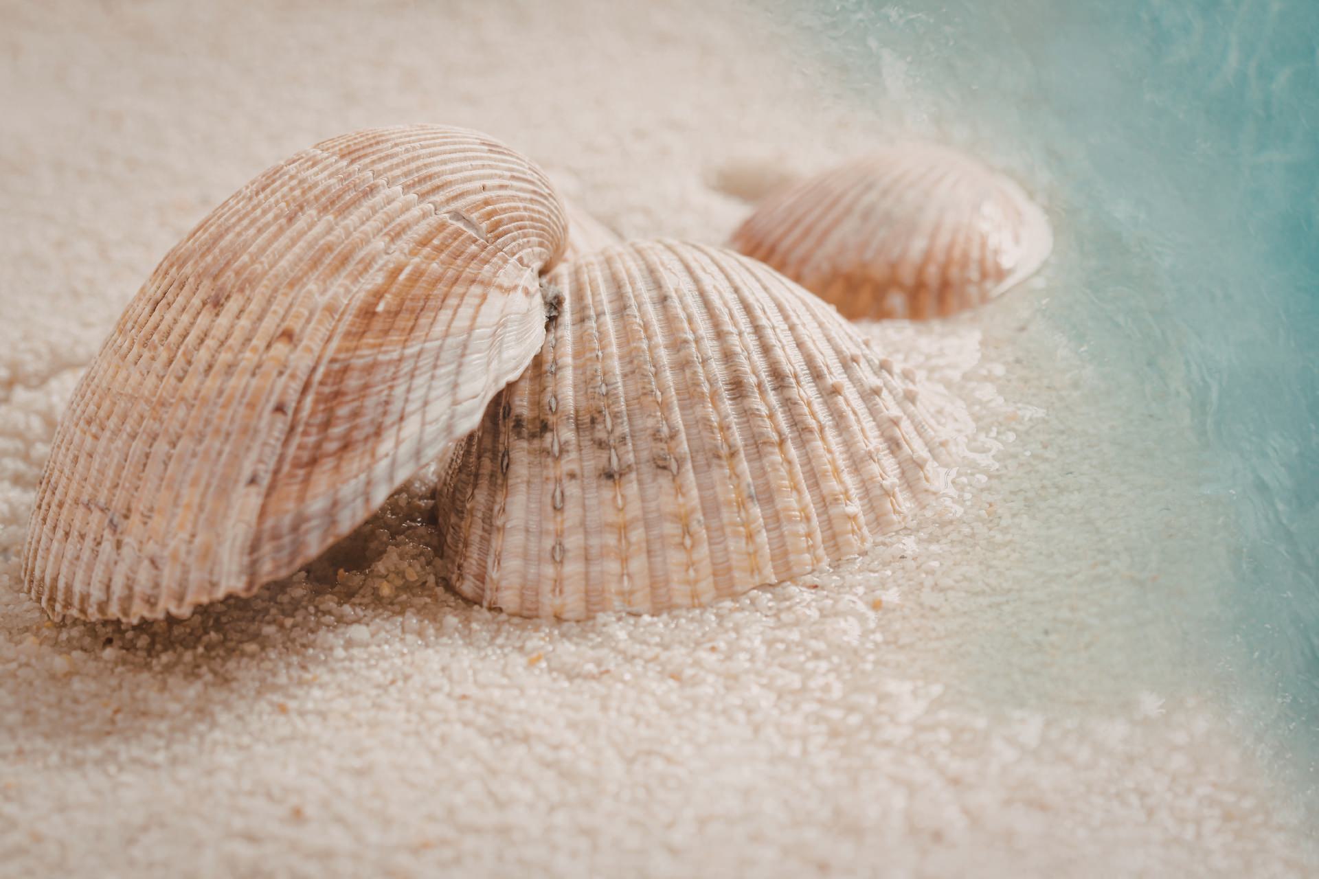 Coastal scene